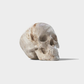 Wooden skulls